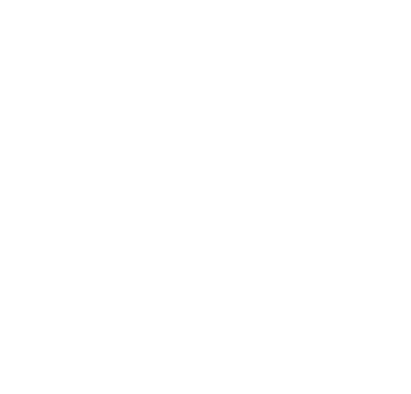 ssam