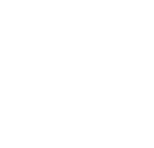 topflotillas