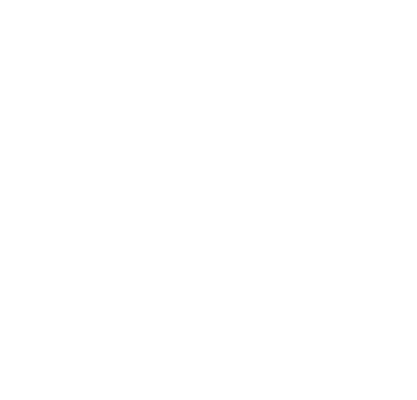 zorro